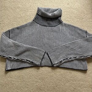 Tic Tok Striped Turtleneck Sweater - Black and White